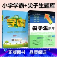 难度升级[尖题+学霸]数学 人教版 2本 四年级下 [正版]2024春尖子生题库二三年级四五年级六一年级上下册数学语文人