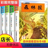 森林报春夏秋冬全4册 [正版]森林报春夏秋冬全集四册 四年级下册阅读课外书阅读经典书目快乐读书吧8-10-12岁儿童文学
