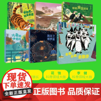 一起来逛动物园 再见了,博罗曼 企鹅,企鹅,去散步 你好,犀鸟宝宝 华南虎的玩具乐园雪豹回家啦大象的体检日套装共6册