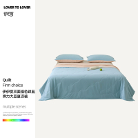伊伊爱 双面撞色锦氨弹力大豆夏凉被