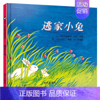 逃家小兔 [正版]爷爷一定有办法绘本童话故事彩图画精装硬皮壳绘本2-3-4-6-8周岁非注音版一二年级儿童绘本幼儿园老师