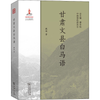 音像甘肃文县白马语魏琳