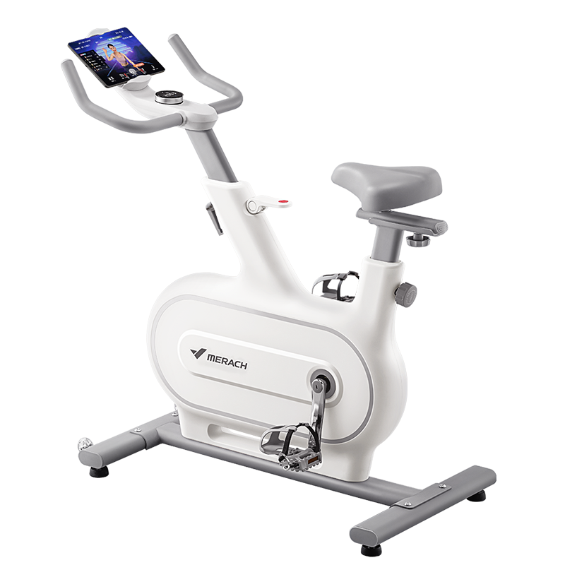 麦瑞克MERACH直立式动感单车智能调阻承重120kg健身体验升级绝影0NE