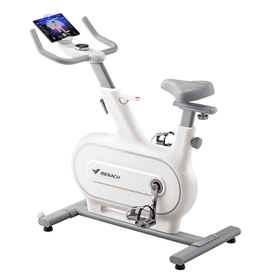 麦瑞克MERACH直立式动感单车智能调阻承重120kg健身体验升级绝影0NE