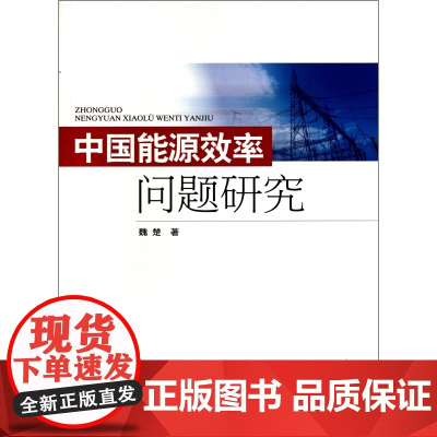 中国能源效率问题研究