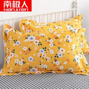 枕头套装一对家用枕套带枕芯单人48x74cm