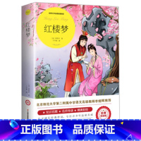 红楼梦 [正版]宝葫芦的秘密 张天翼原著三四年级必读课外书老师阅读书籍小学生宝葫芦里的故事小学语文课外阅读经典人民文学出