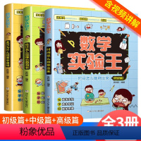 数学实验王(全3册) [正版]数学思维训练数学实验王全3册 小学数学趣味分析彩绘版课外练习书籍培养孩子自主思考脑力开发适