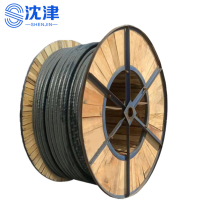 沈津 铜芯电缆 ZC-YJV-0.6/1KV-3*16+1*10mm² /米