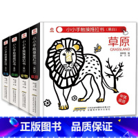 [正版]黑白版(呦呦童)/小小手触摸推拉书 呦呦童 著 其它儿童读物少儿 安徽科学技术出版社 BJKJ