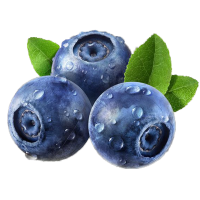 礼盒装 [熊猫鸟]云南蓝莓 8杯 60g/杯 单果18mm+ 新鲜水果当季鲜果现摘高山孕妇可食