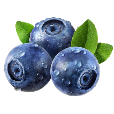 礼盒装 [熊猫鸟]云南蓝莓 8杯 60g/杯 单果18mm+ 新鲜水果当季蓝梅鲜果现摘高山怡颗孕妇可食