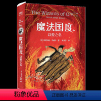 [正版]魔法国度 以爱之名 奇幻冒险小说 《驯龙高手》 作者高人气新作 200余幅奇幻插图 8岁以上适读 开启孩子们的