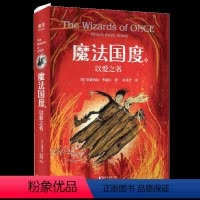 [正版]魔法国度 以爱之名 奇幻冒险小说 《驯龙高手》 作者高人气新作 200余幅奇幻插图 8岁以上适读 开启孩子们的