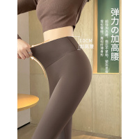 灰色鲨鱼裤女外穿春秋款高腰收腹提臀瑜伽健身芭芘秋冬加绒打底裤