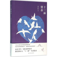 音像十三种情态邱华栋 著