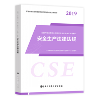 正版新书]大百科5月新大纲版注册安全工程师教材2019年全国中级