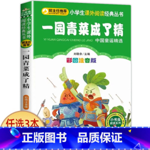一园青菜成了精 [正版]宝葫芦的秘密二三年级必读 注音版带拼音 小学一年级阅读课外书上册下册下学期 张天翼原著完整版宝芦