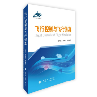 音像飞行控制与飞行王行仁,龚光红
