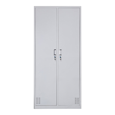 DXBG更衣柜员工铁皮柜健身房宿舍储物柜带锁存包柜收纳柜钢制二门更衣柜
