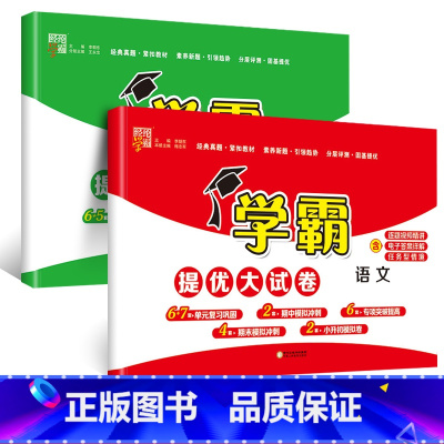 语文+数学(苏教版) 二年级下 [正版]2024春新经纶小学学霸提优大试卷一年级下册二四五六三年级上册语文人教数学苏教英