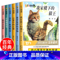 [全6册]儿童文学冰心奖套装 [正版] 百年经典儿童文学冰心奖 我家楼下的猫王魔法学校名家名作系列四年级阅读课外书必三四