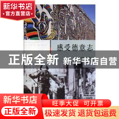 正版 感受德意志:1982-1991:1982-1991 杨武能著 四川文艺出版社