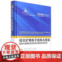 书精品8折]硫化矿物电子结构与表面:密度泛函理论及在浮选中的应用(英文版) 有色金属理论与技术前沿丛书
