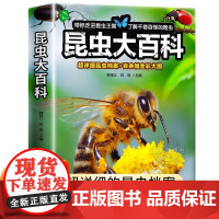 [大开本]昆虫大百科全书 超详细昆虫档案+百余幅全彩大图 了解千奇百怪的昆虫 小学生科普类读物正版介绍关于昆虫的书籍儿童
