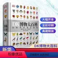 DK博物大百科:自然界的视觉盛宴 [正版]DK儿童数学思维手册 青少年数学知识科普书籍 dk百科全书 7-9-15岁青少