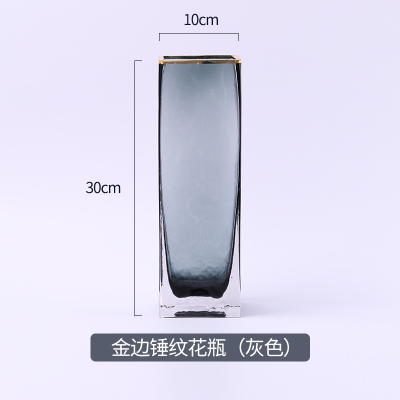 北欧轻奢透明玻璃花瓶纳丽雅家居客厅餐桌水培插花现代简约装饰品摆件锤纹金边30*10（灰色）