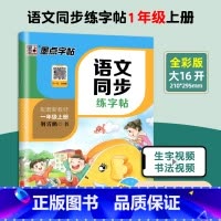 1年级上册 语文同步练字帖 [正版]一年级练字帖上册下册语文字帖人教版同步每日一练小学生生字组词成语生字组词成语笔顺描红