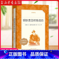 单本全册 [正版]书店钢铁是怎样炼成的(经典名著口碑版本)/语文阅读丛书 (苏联)尼·奥斯特洛夫斯基 世界经典名著