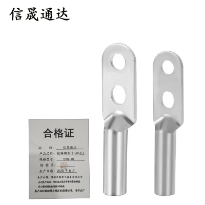 信晟通达 镀锡铜鼻子(双孔) DTS-70 个