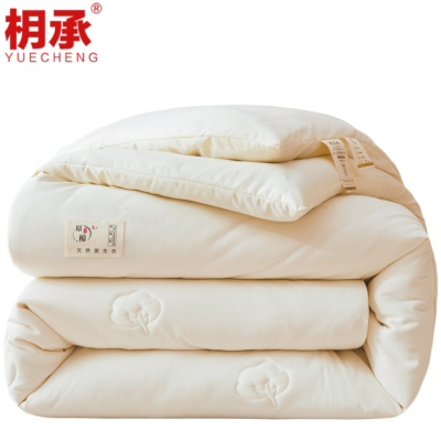 枂承 棉花被 1.5m6斤 床