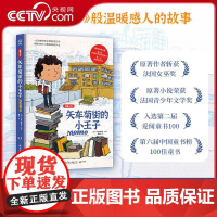 [央视网]矢车菊街的小王子 图像小说 马克利萨诺关于阅读和友谊如何改变人生展现书籍对儿童成长的深刻影响湖南少年儿童出版社