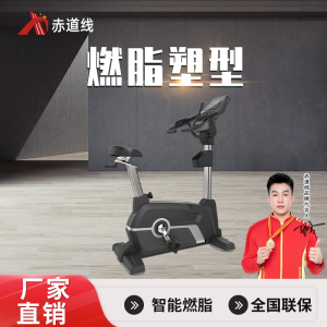 赤道线 健身健身房有氧器材商用立式健身车CDX-A990S-1122