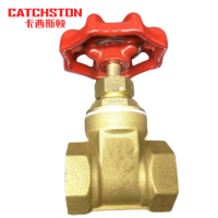 卡西斯顿 黄铜闸阀 DN25大体1寸 个