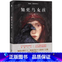 [正版]WG 知更鸟女孩 媲美《偷影子的人》2016年感动全美的悬爱力作 美剧CBS重金推出 悬疑故事人性治愈 书籍