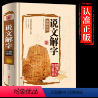 [正版]超大本精装说文解字完整全版 许慎著图文解读儿童学习汉字咬文嚼字细说汉字的故事初中小学高中国学读物常用古代汉语字