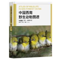 正版新书]中国西南野生动物图谱鸟类卷.下朱建国总主编马晓锋 主
