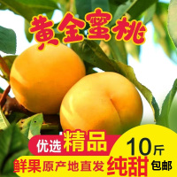 纯甜砀山黄金蜜桃爆甜黄桃新鲜当季蜜桃 爆甜多汁 桃气香浓 送礼公司福利采购