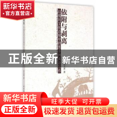 正版 依附与剥离:后殖民文化语境中的黑非洲英语写作 高文惠 中国