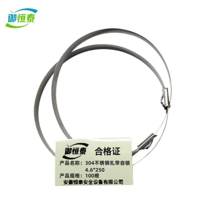 3御恒泰04不锈钢扎带自锁4.6*250 100根/包