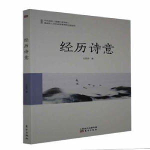 正版新书]经历诗意王彦民9787520714211