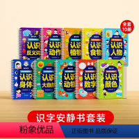 [全10册]识字早教安静书 [正版]时光学 识字早教安静书识字启蒙游戏书幼儿识字早教贴儿童象形看图识字卡片幼儿园认字神器