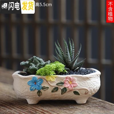 三维工匠可画画上色彩多肉小花盆陶瓷粗陶透气创意肉肉植物盆 酒红色图片款[1个装] 中等花盆容器