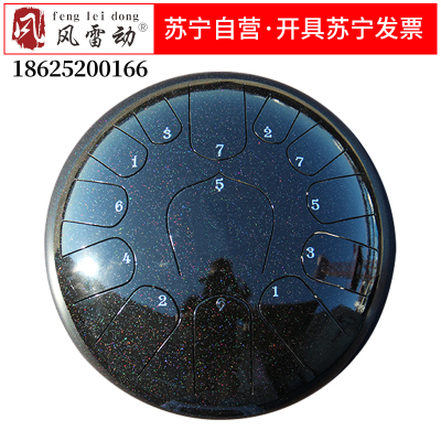 风雷动13音暗夜绿空灵鼓色空鼓梵音鼓打击手敲鼓初学者8音13音民族乐器15音手碟钢舌鼓全音专业级