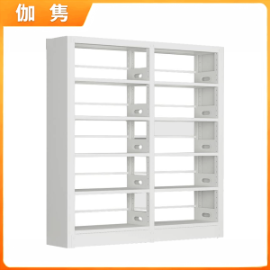 伽隽 档案架 二列 个