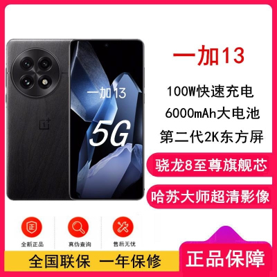 [全新]OPPO 一加13 黑曜秘境 12GB+512GB 哈苏全焦段超光影影像 2K 东方屏 骁龙8至尊旗舰芯 5G旗